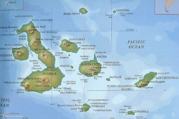 One World Trips Galapagos Information Guide