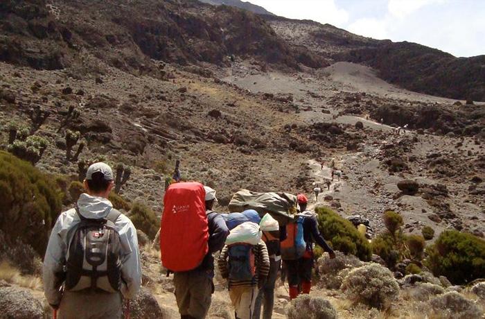 One World Trips - Active Tours - Hiking and Trekking - Kilimanjaro trekking