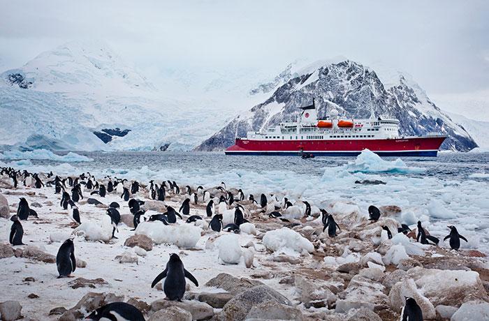 One World Trips - Marine Expedition - Antarctica