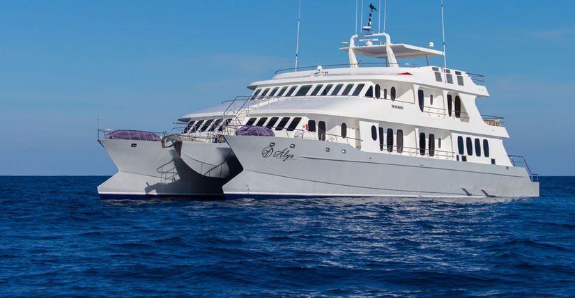 One World Trips - Galapagos - 4 days cruising East, South & Central islands aboard Alia
